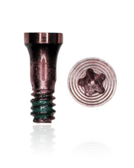 iPhone 7/7 Plus, Bottom screw set 2/pcs, rose