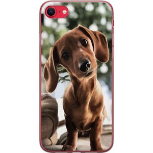 Apple iPhone 16e Transparent Mobilskal Ung Hund