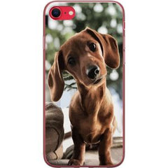 Apple iPhone 16e Transparent Mobilskal Ung Hund