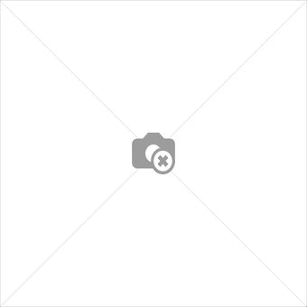 Mac Pro A1990 (Mid 2018-Mid 2019) Wifi Flex Cable