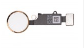 iPhone 7/7 Plus, Home button assembly, gold